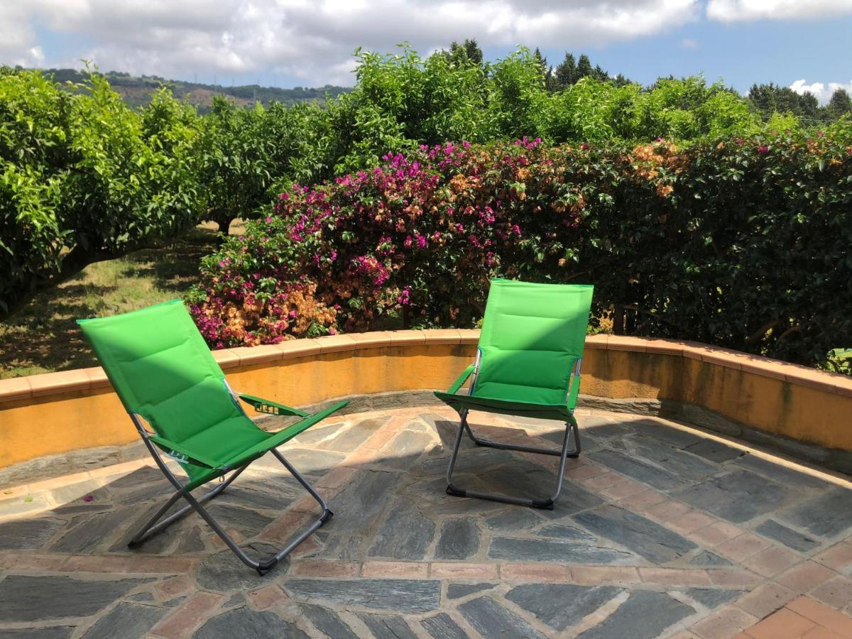Casa Clementina Apartment Pizzo  Bagian luar foto